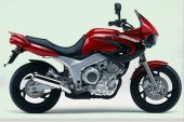 1994 Yamaha TDM 850 photo